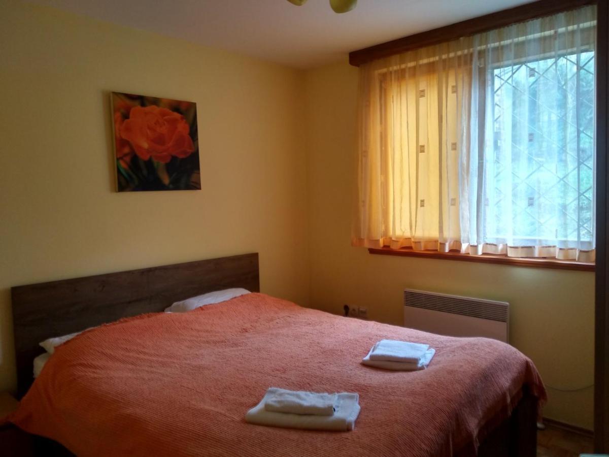 Pine Tree Apartment Szarajevó Kültér fotó