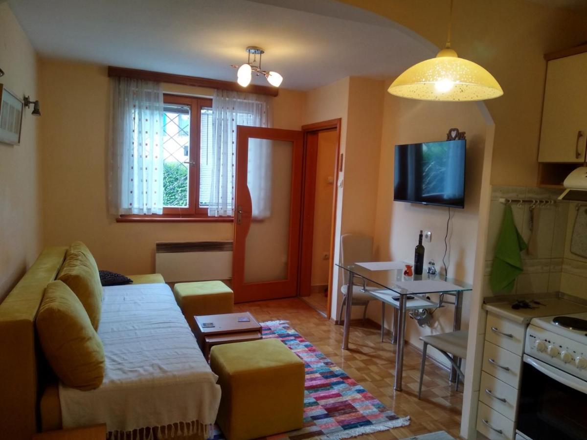 Pine Tree Apartment Szarajevó Kültér fotó